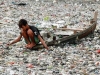 imagem3
